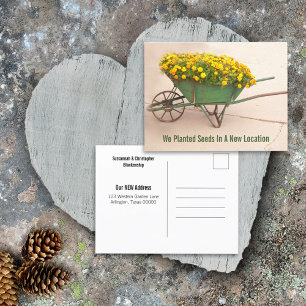 New Address Marigolds In Vintage Wheelbarrow Postcard