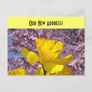 New Address postcards We Moved Daffodils