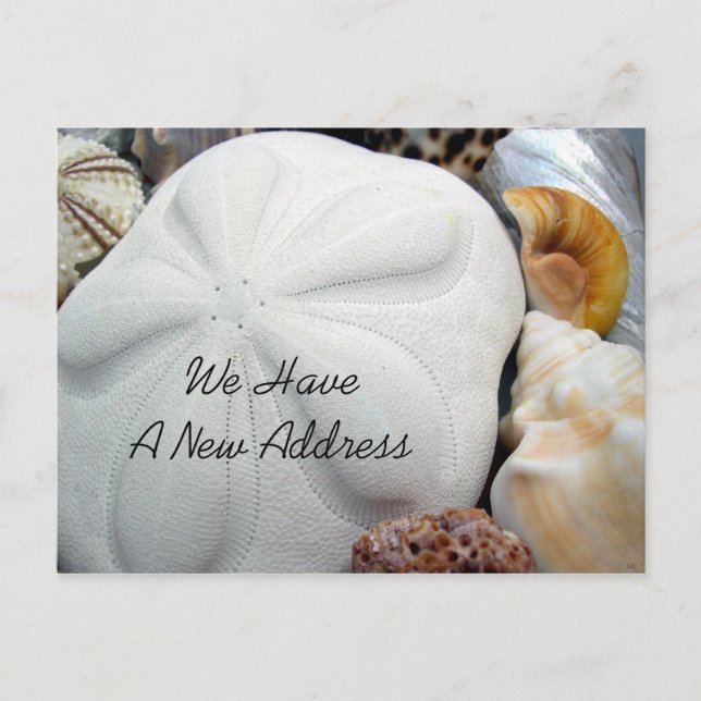 New Address Sea Biscuit Announcement Postcard (Front)