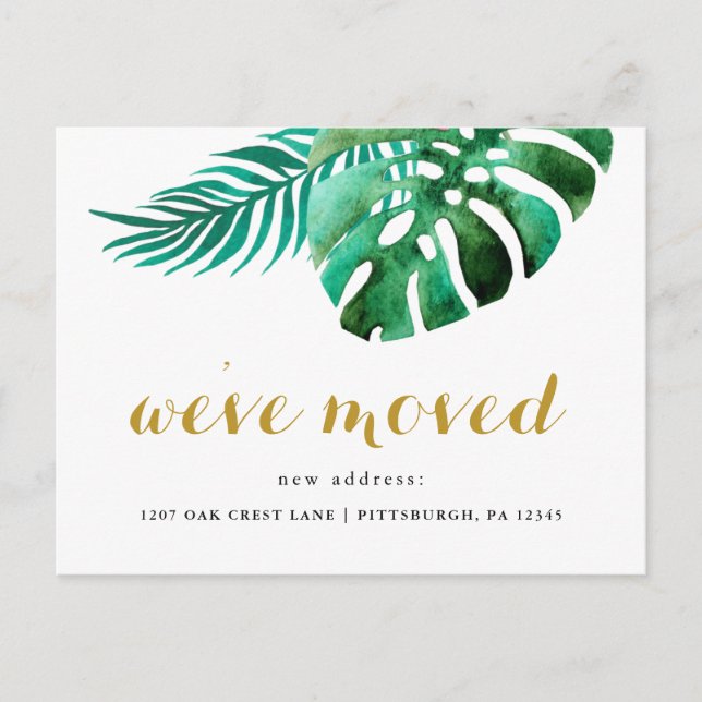 New Address Tropical Palms Moving Announcement Postcard (Front)