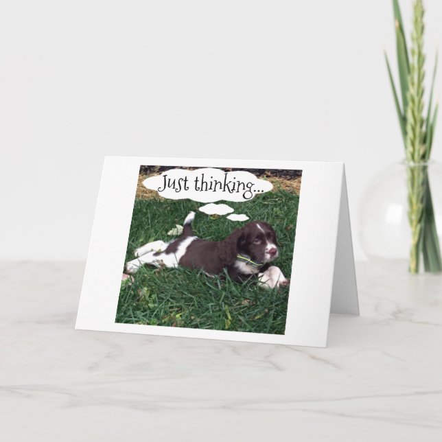 "NEW ADVENTURE IN LIFE" GOOD LUCK SAYS SPANIEL CARD (Front)