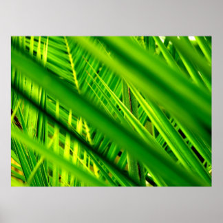 (New Arrival) Poster Print