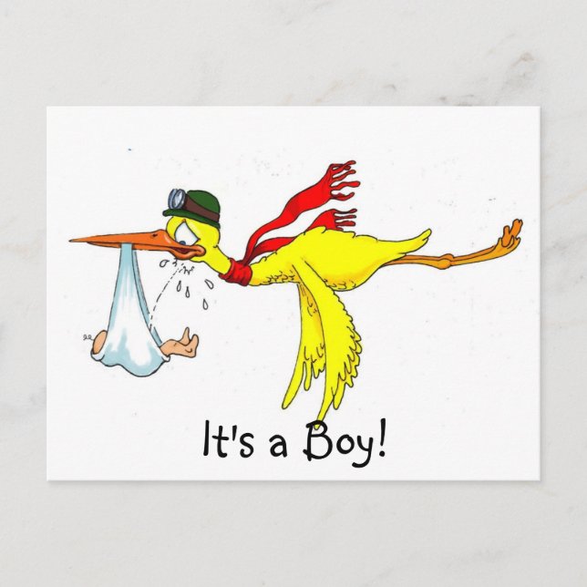New baby boy Peeing on the stork! Announcement Postcard (Front)