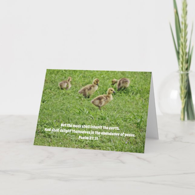 New Baby Geese Faith Card Psalm 37:11 (Front)
