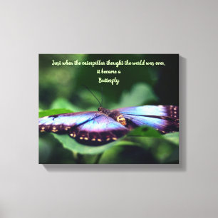 New Beginnings Butterfly Inspirational Quote Canvas Print