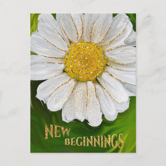 New Beginnings - Daisy flower power Postcard (Front)