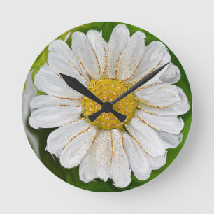 New Beginnings - Daisy flower power Round Clock