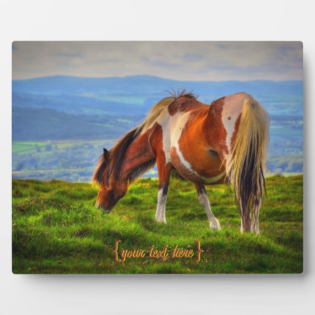 New Blood On Dartmoor Plaque (Front)