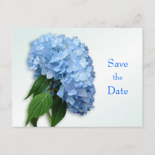 New Blue Hydrangea Wedding Save the Date Postcard