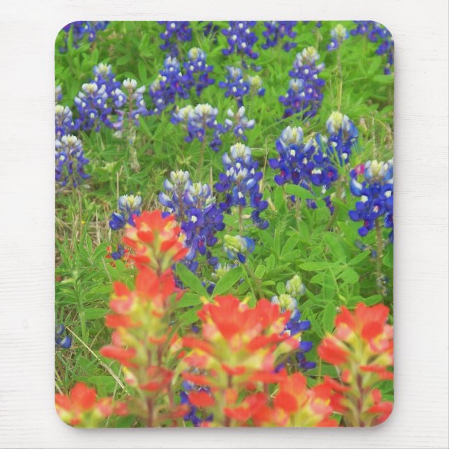 New Blues and Reds Mouse Pad (Front)