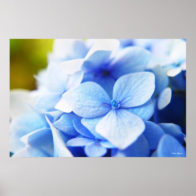 New Blues Poster (Front)