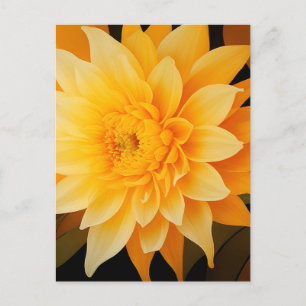 New BOHO Yellow Dahlia Postcard