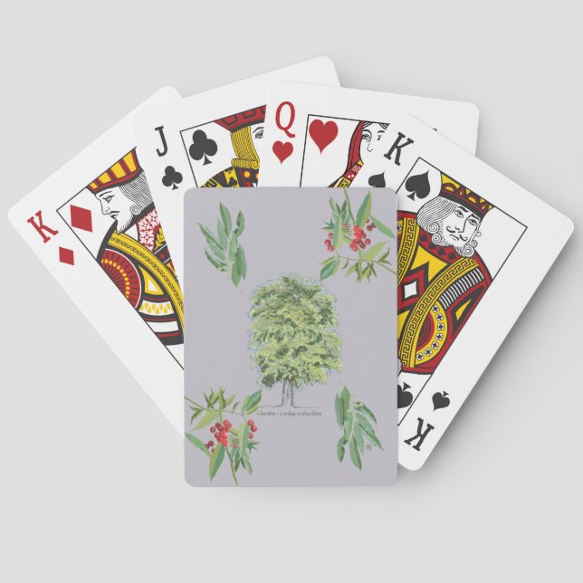New botanical illustration Claraíba lilac tree Playing Cards (Back)