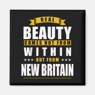 New Britain - Funny D City Gift  Magnet