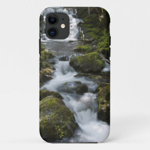 New Brunswick, Canada. Dickson Falls in Fundy iPhone 11 Case