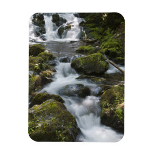New Brunswick, Canada. Dickson Falls in Fundy Magnet