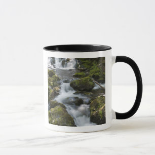New Brunswick, Canada. Dickson Falls in Fundy Mug