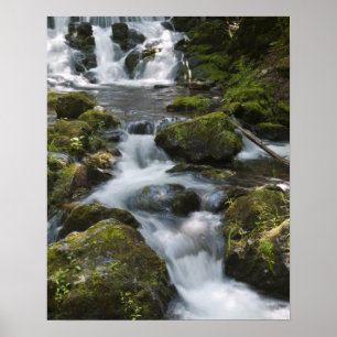 New Brunswick, Canada. Dickson Falls in Fundy Poster