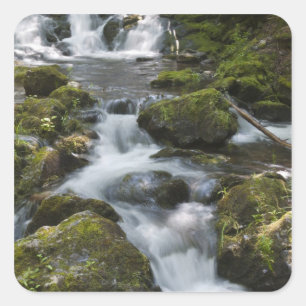 New Brunswick, Canada. Dickson Falls in Fundy Square Sticker