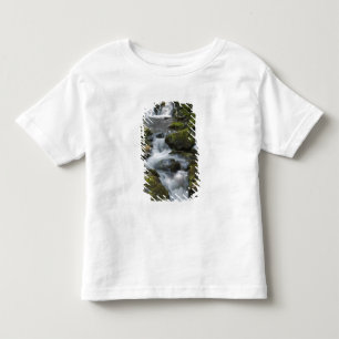 New Brunswick, Canada. Dickson Falls in Fundy Toddler T-Shirt