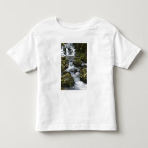 New Brunswick, Canada. Dickson Falls in Fundy Toddler T-Shirt