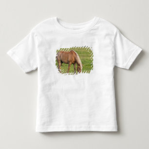 New Brunswick, Canada. Horse in field. Toddler T-Shirt