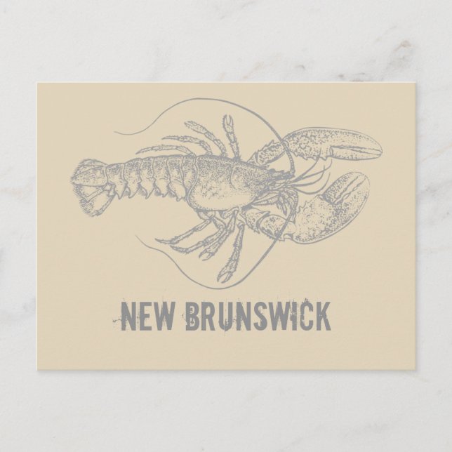 New Brunswick Lobster Postcard (Front)