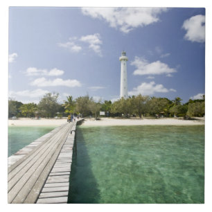 New Caledonia, Amedee Islet. Amedee Islet Pier. Tile