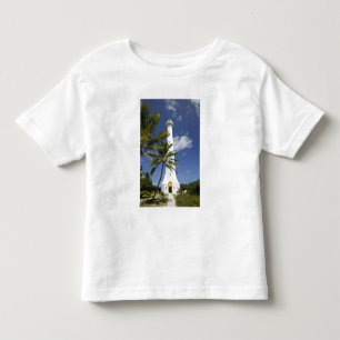 New Caledonia, Amedee Islet. Amedee Islet Toddler T-Shirt