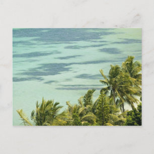 New Caledonia, Grande Terre Island, Noumea. Anse Postcard