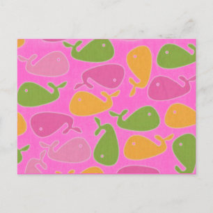 new canaan whales postcard