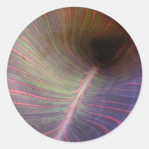 New Canna Leaf ~ sticker