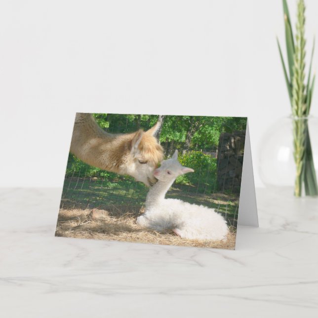 New Cria Card (Front)