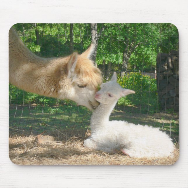 New Cria Mousepad (Front)