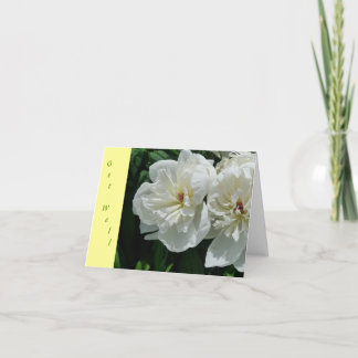New Day Gardens Get Well Card- White Peony Y Card