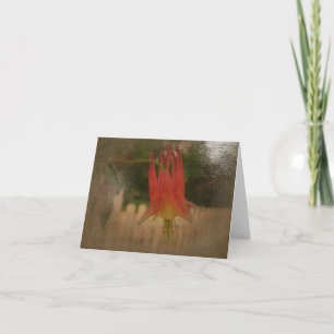 New Day Gardens Notecard CAN Columbine A