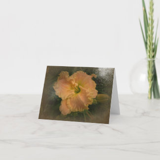 New Day Gardens Notecard Daylily 'Almost An Angel'