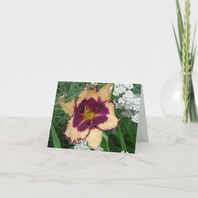 New Day Gardens Notecard- Daylily 'Sabine Baur' Card (Front)