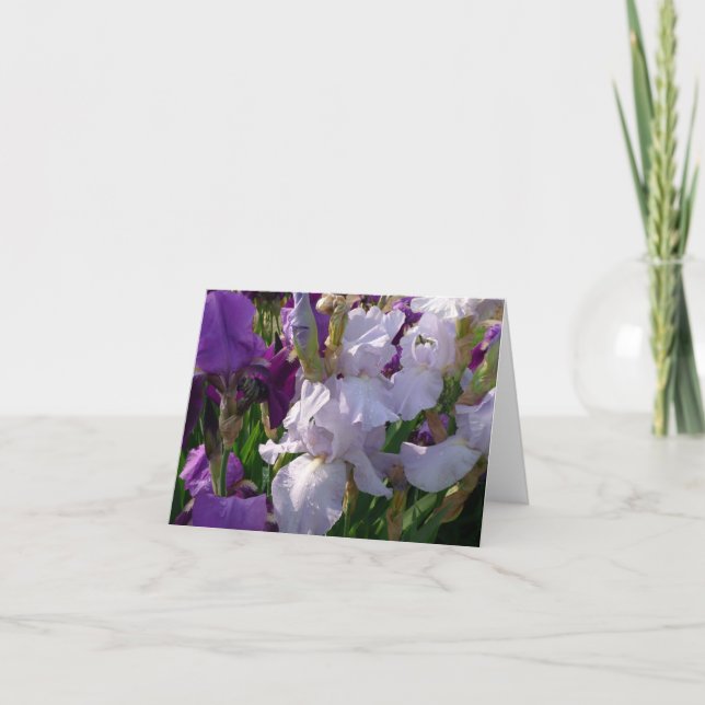 New Day Gardens Notecard-Iris 'Eelanor's Pride' Card (Front)