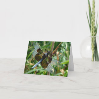 New Day Gardens Notecard- Male Dragonfly Card