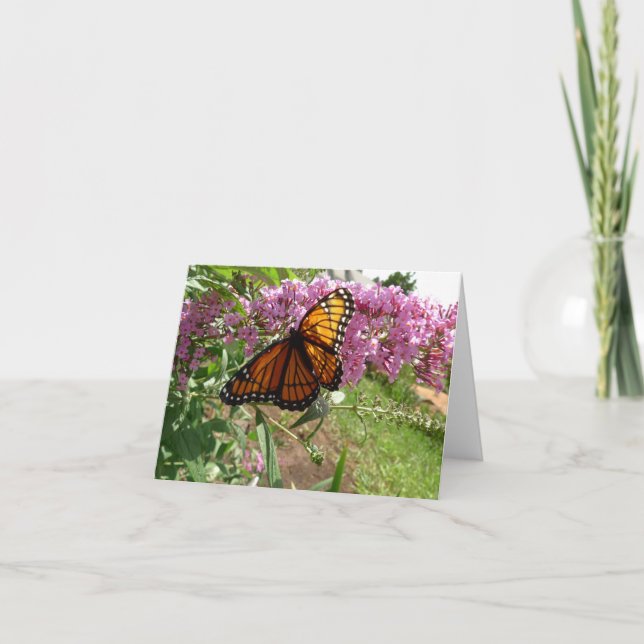 New Day Gardens Notecard- Viceroy Butterfly Card (Front)