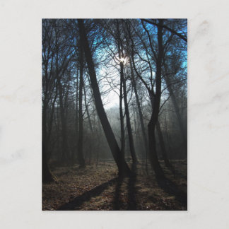 New Day Postcard