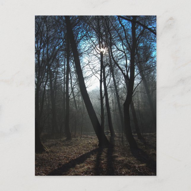 New Day Postcard (Front)