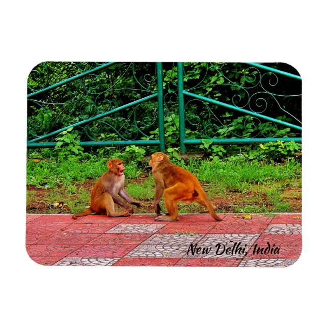 New Delhi, India Magnet (Horizontal)