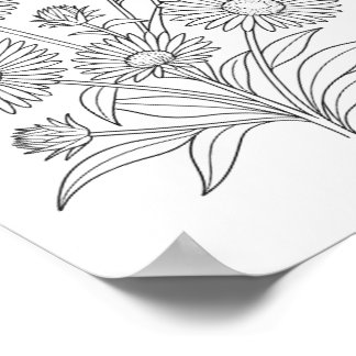 New England Aster Colouring Poster