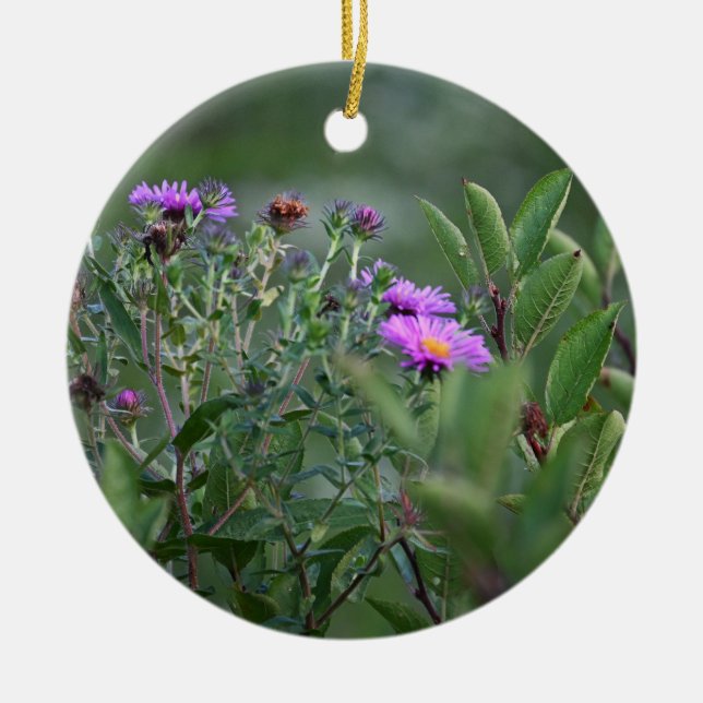 New England Aster Flower Ornament (Front)