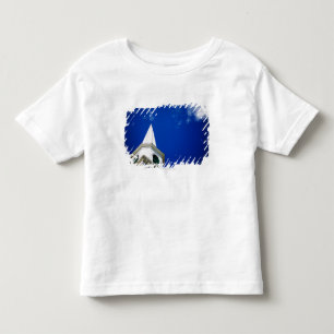 New England Church Steeple with a Royal Blue Sky Toddler T-Shirt