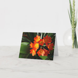 New England floral notecard collection