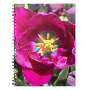 New England Flower Photo Notebook