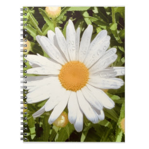 New England Flower Photo Notebook